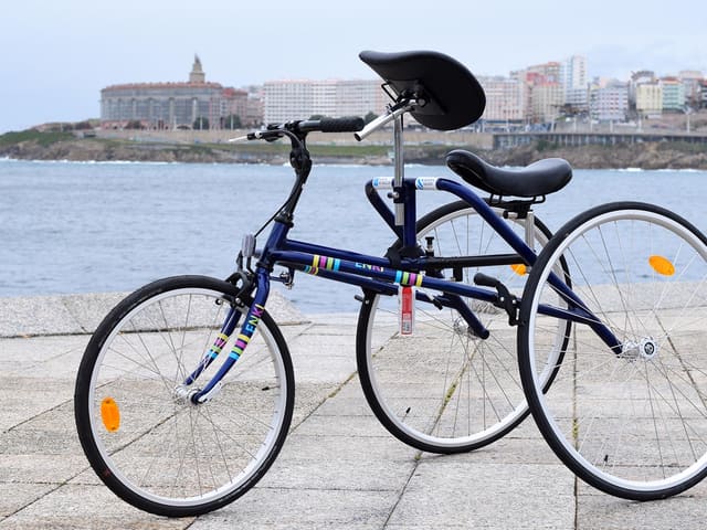 Material deportivo adaptado de Enki, imaxe 12.