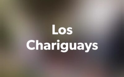 Los Chariguays