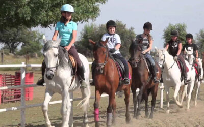 ¡Regresan los campamentos de verano!